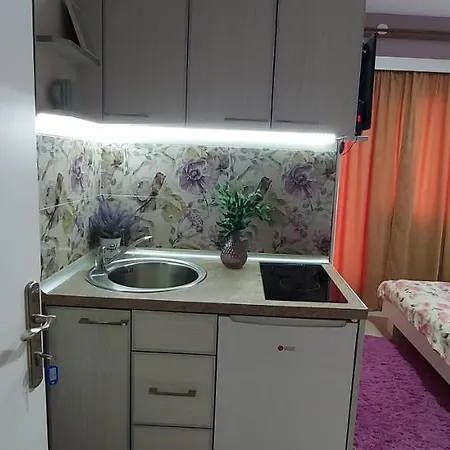 Kosa Apartment Vrnjačka Banja