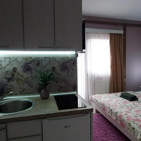 Kosa Apartment Vrnjačka Banja