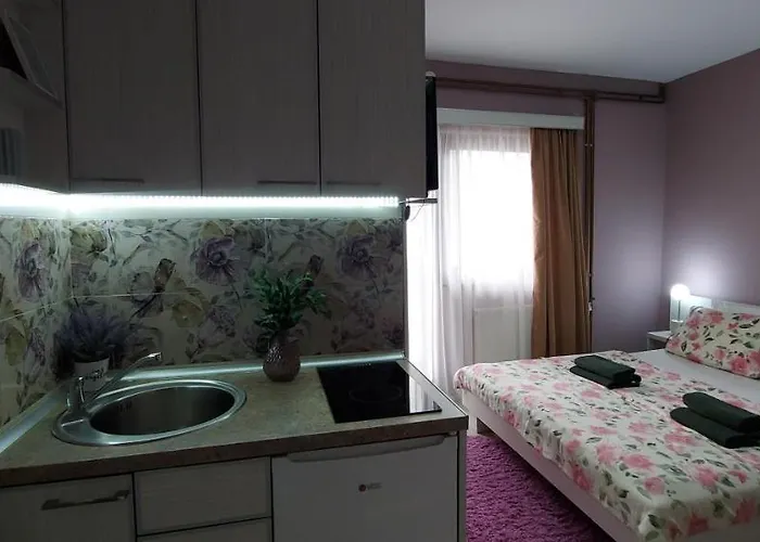 Kosa Διαμέρισμα Vrnjačka Banja